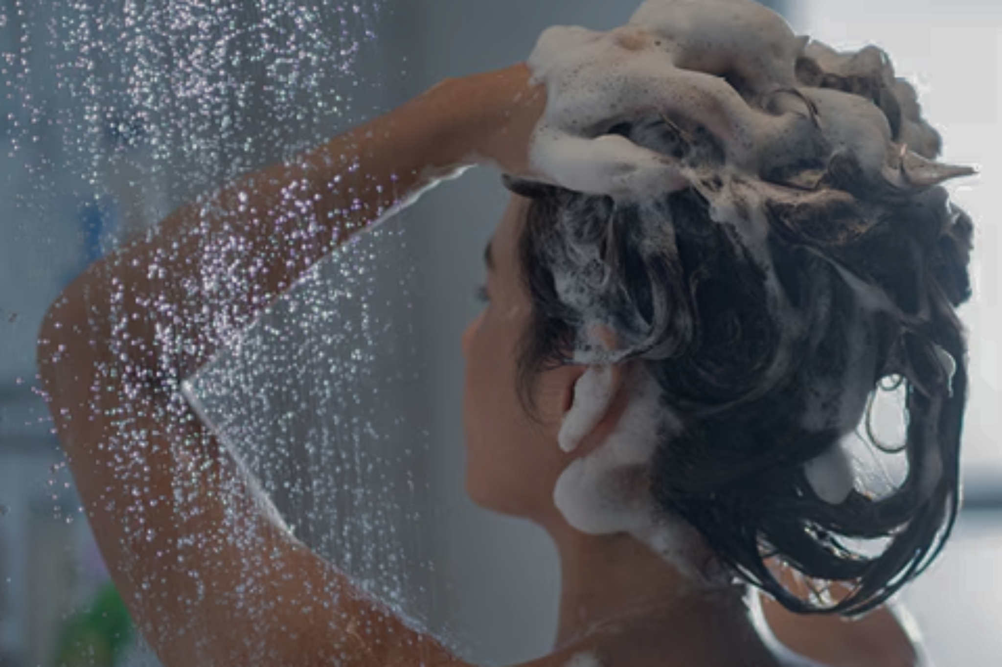 Shampoo